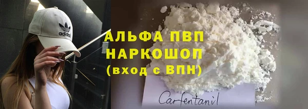 амф Заволжье