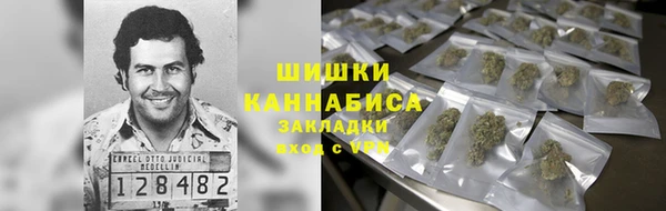 амф Заволжье