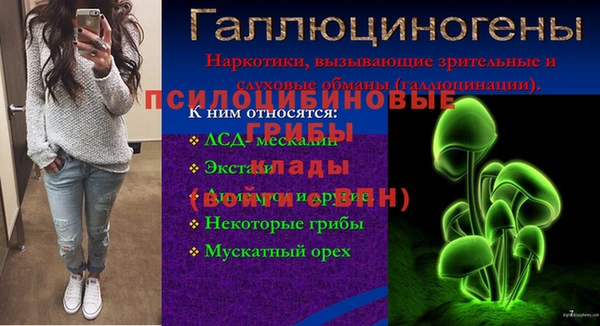 ПСИЛОЦИБИНОВЫЕ ГРИБЫ Заволжск